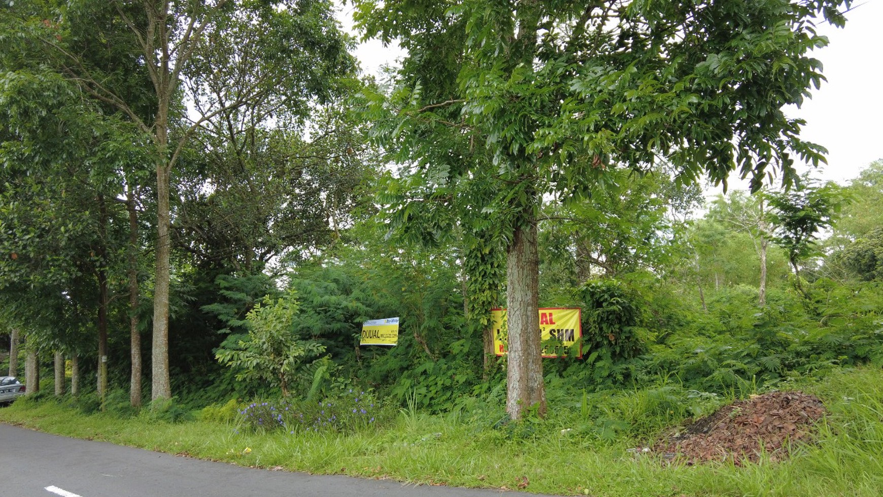 TANAH PEKARANGAN SELUAS 599 METER PERSEGI, DI JL KALIURANG KM 20