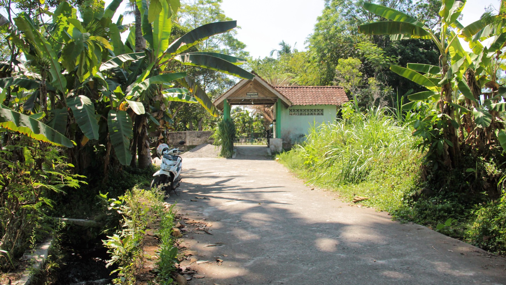 Tanah Sawah Luas 905 Meter Persegi Lokasi Dekat RSUD Sleman 