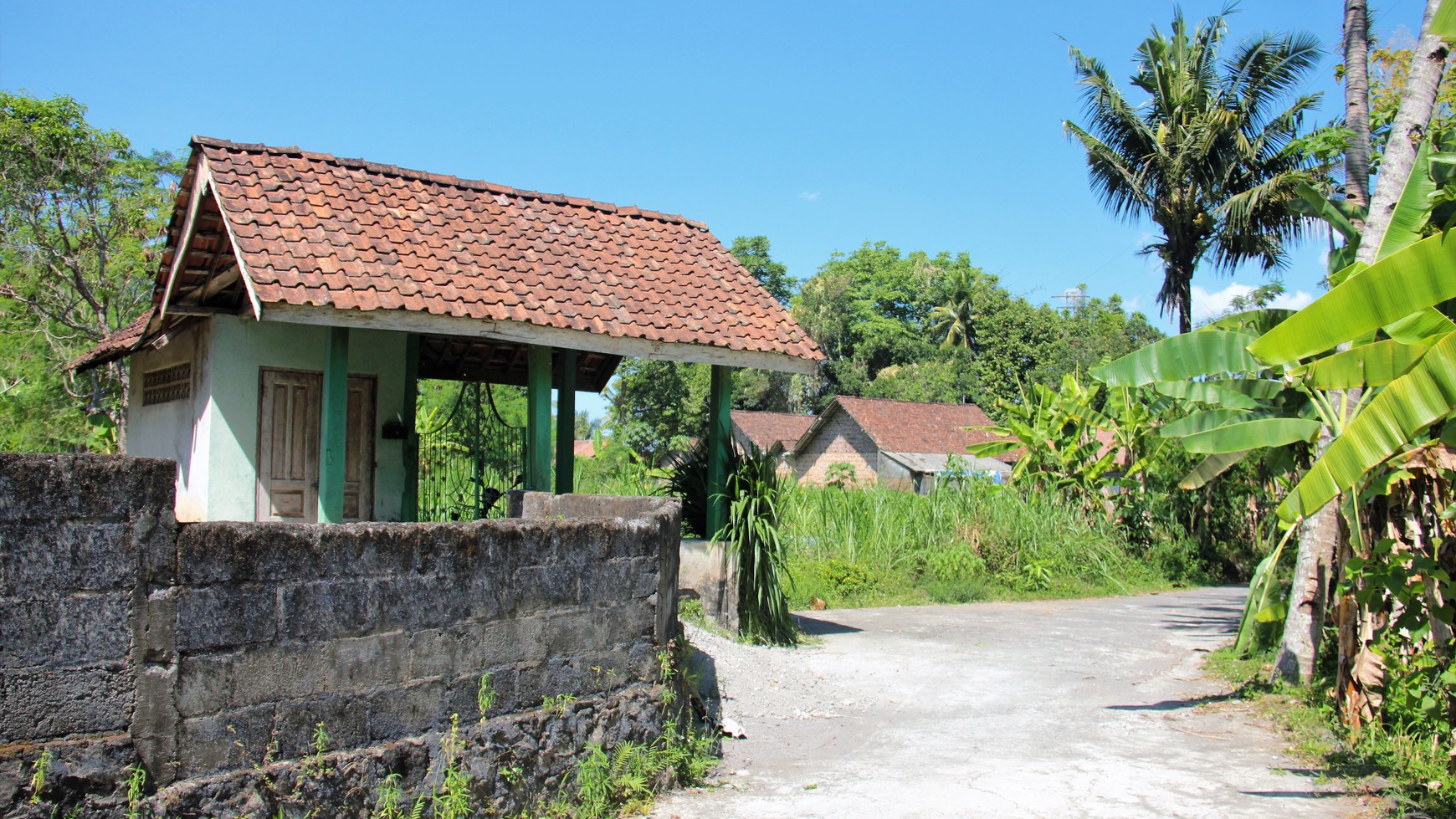 Tanah Sawah Luas 905 Meter Persegi Lokasi Dekat RSUD Sleman 