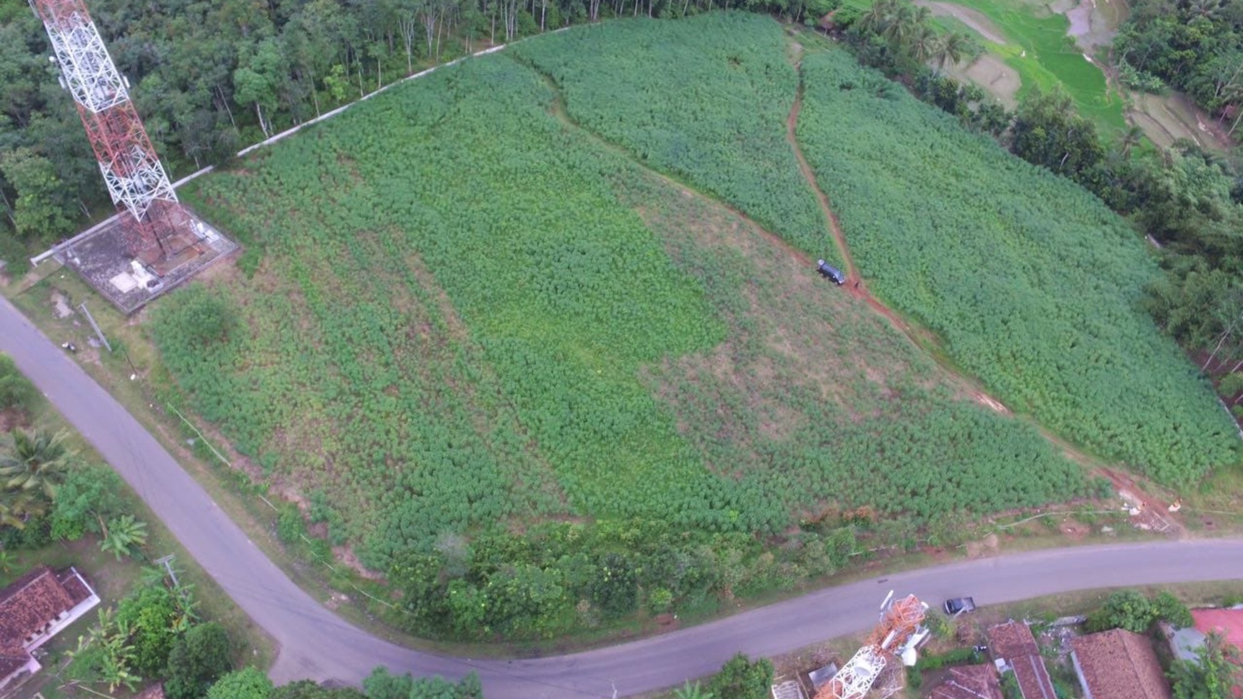 Dijual Tanah Luas 2Ha di Sajira, Lebak Banten