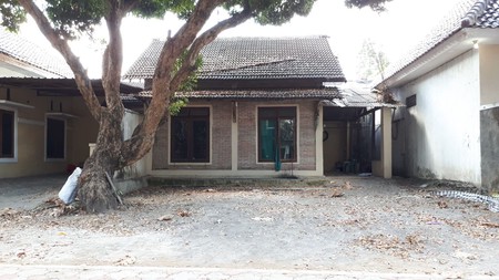 RUMAH MINIMALIS DISEWAKAN, DI PLOSO KUNING II