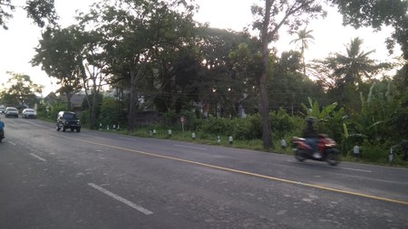 TANAH DIATAS 1 HEKTAR  DIPINGGIR JL WATES KM 11, SEDAYU, BANTUL