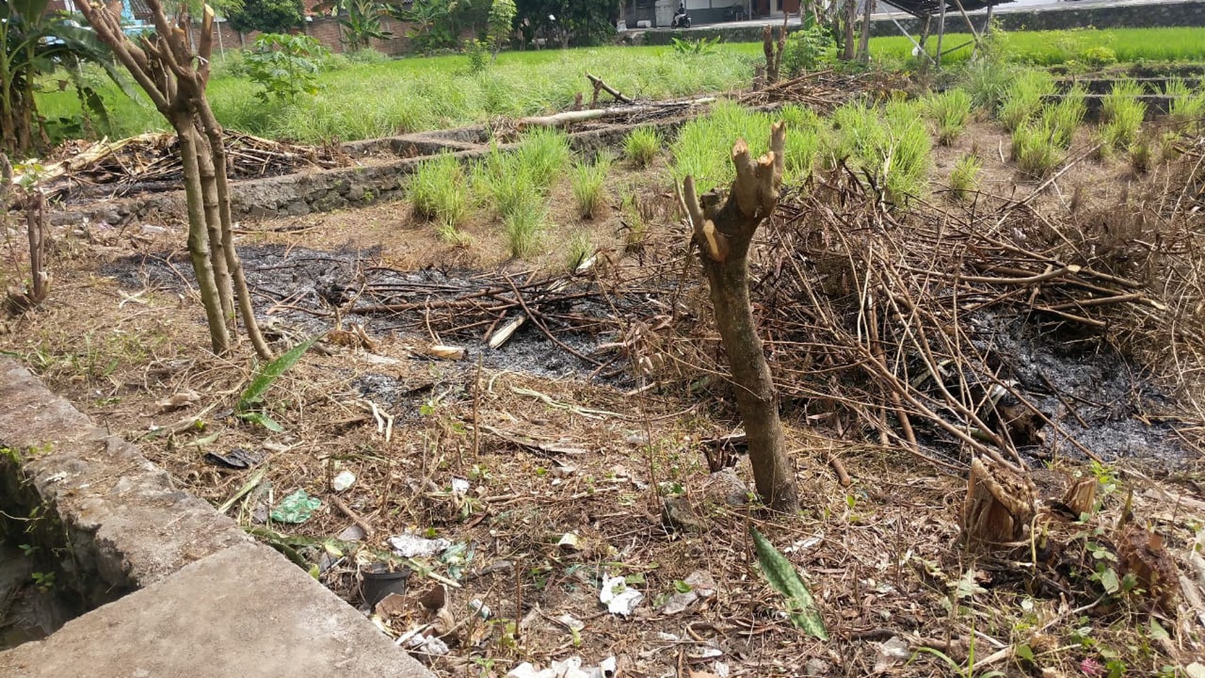 TANAH PEKARANGAN 313 METER PERSEGI, DI JUWENGAN, KALASAN, SLEMAN
