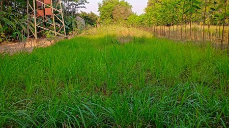 TANAH PEKARANGAN 1186 METER, PUGERAN, RINGROAD UTARA