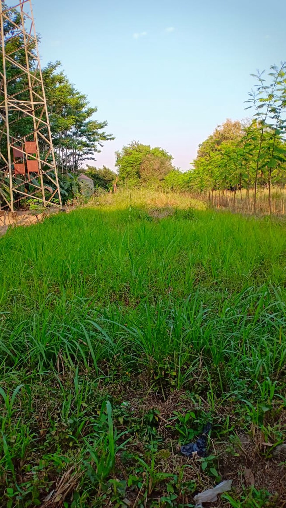 TANAH PEKARANGAN 1186 METER, PUGERAN, RINGROAD UTARA