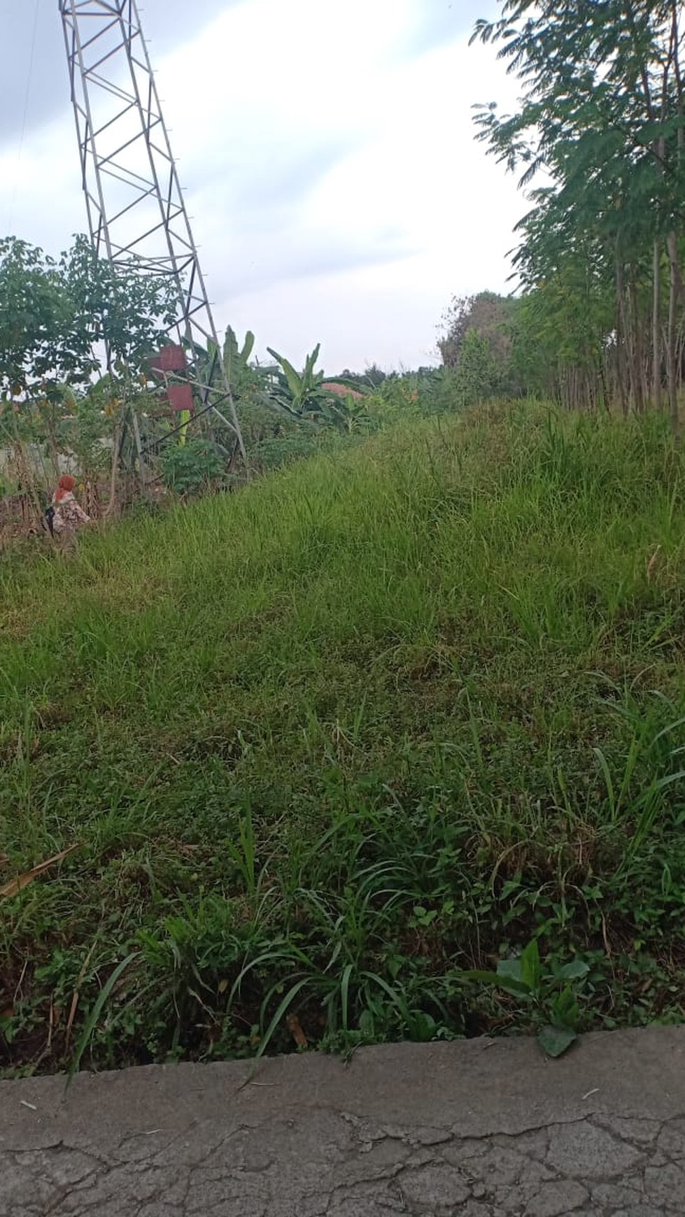 TANAH PEKARANGAN 1186 METER, PUGERAN, RINGROAD UTARA