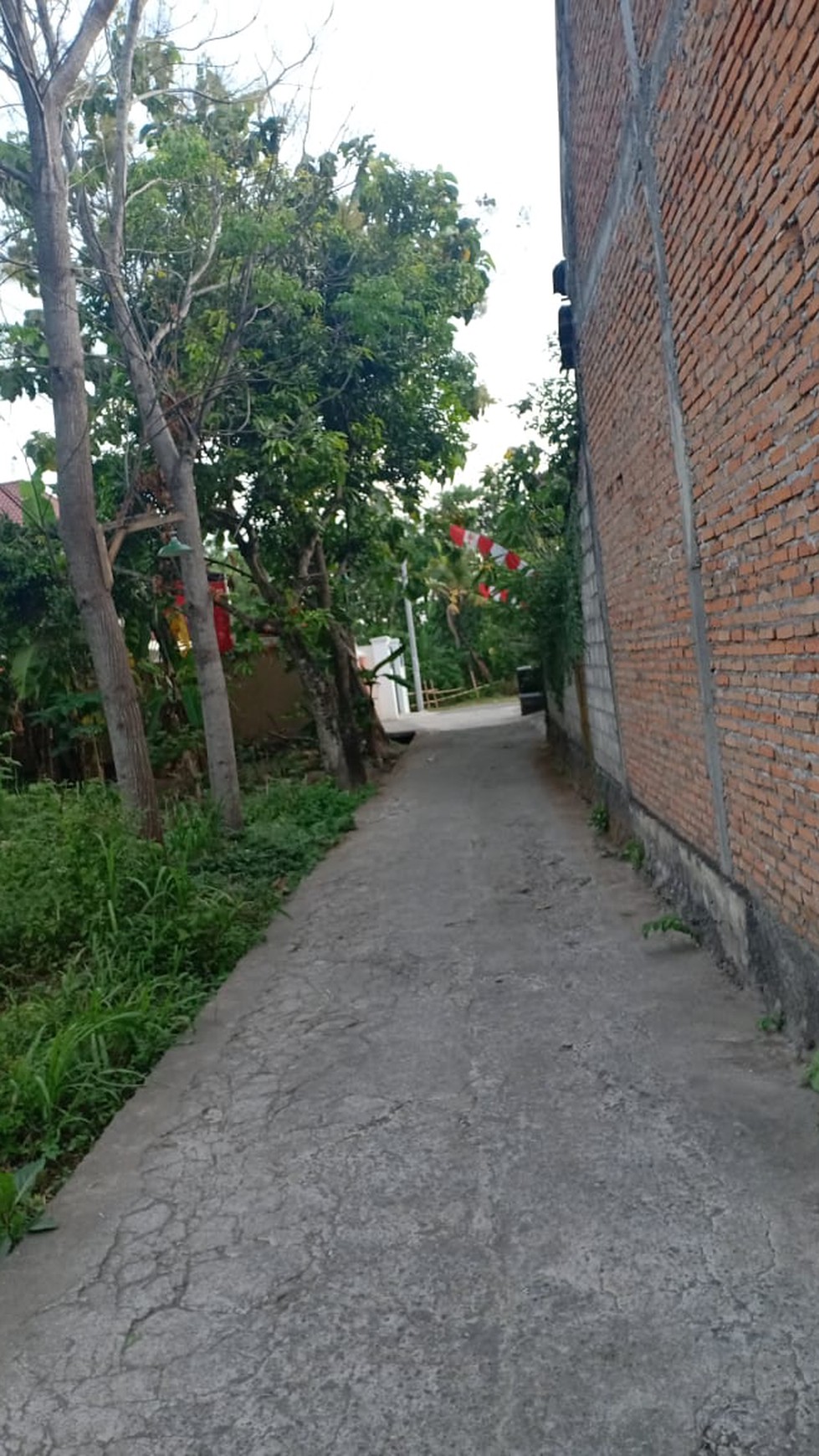 TANAH PEKARANGAN 1186 METER, PUGERAN, RINGROAD UTARA