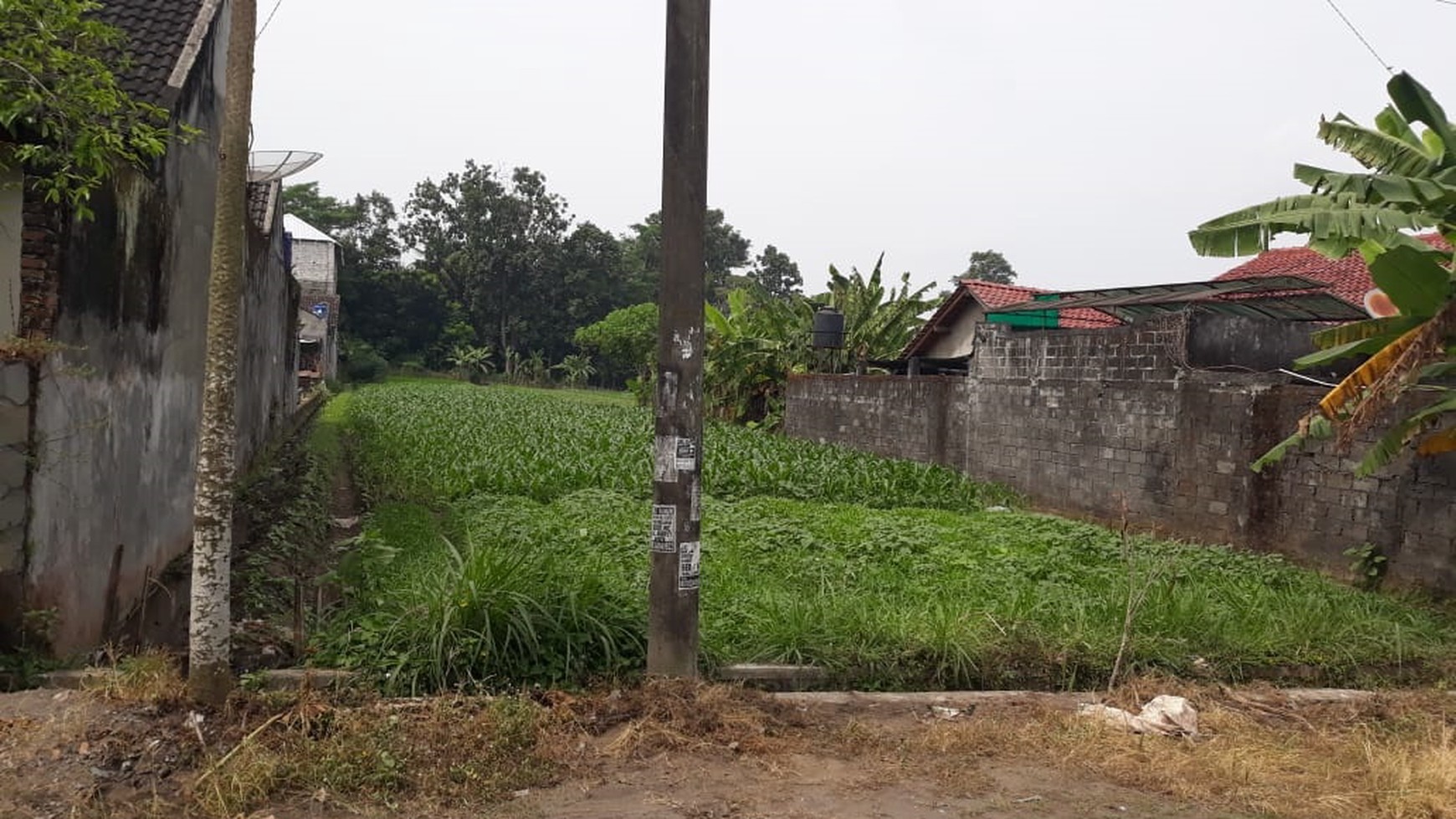 TANAH DILOKASI STRATEGIS, HANYA 1KM DARI JOGJA BAY, JL TULIP, SLEMAN