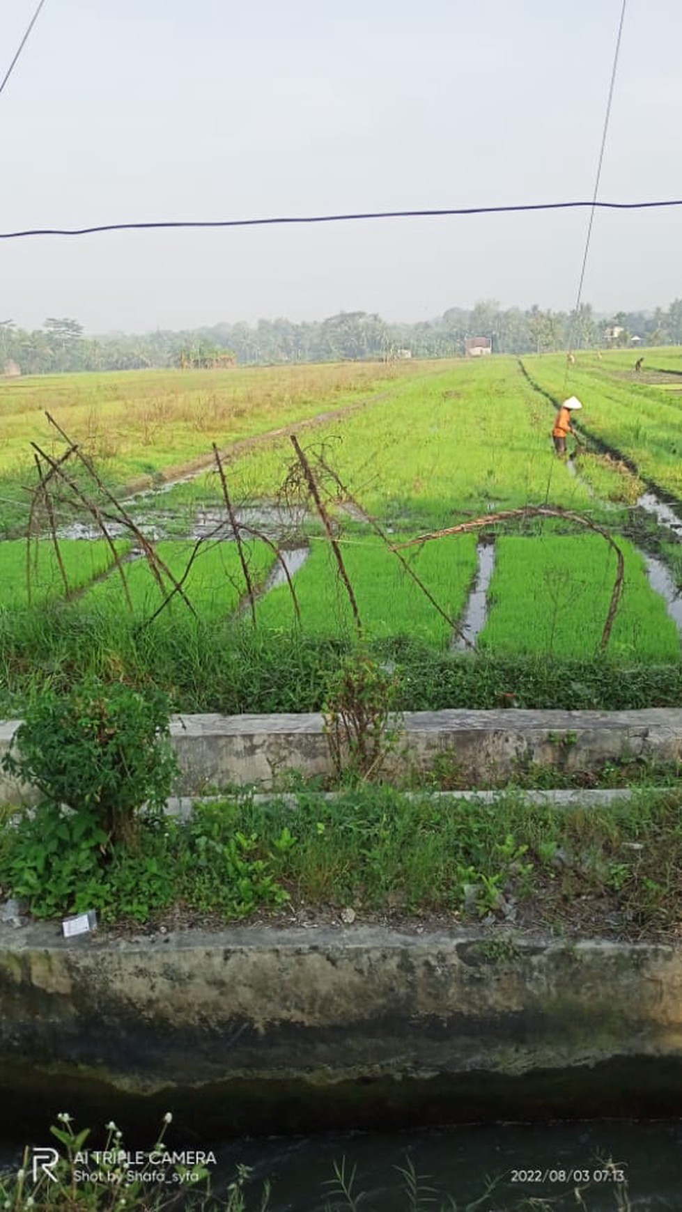 Tanah 1.550 Meter Persegi Di Argorejo Sedayu Bantul