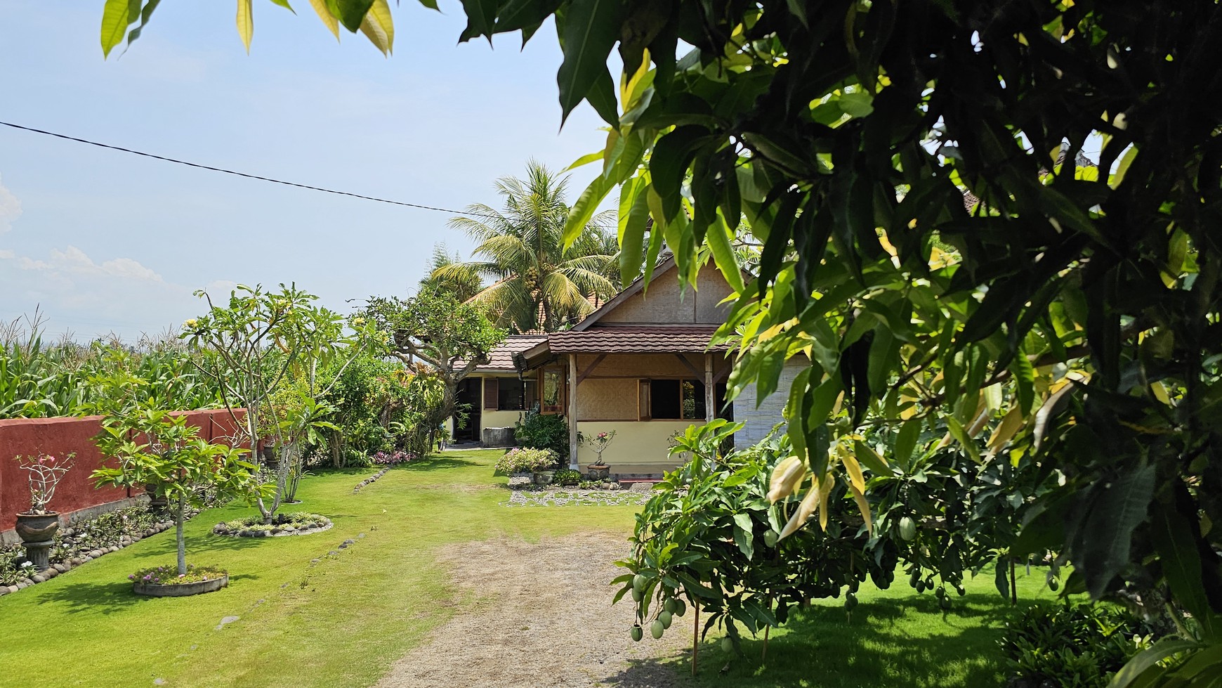 For Freehold  Medewi Bambu House and Villa  in Pulukan Area