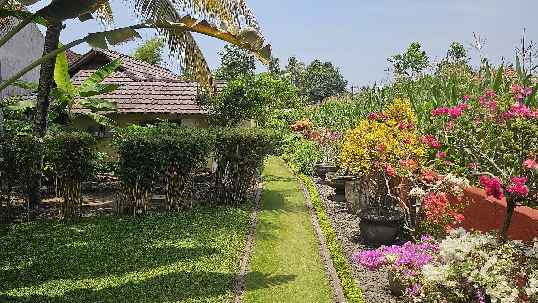 For Freehold  Medewi Bambu House and Villa  in Pulukan Area