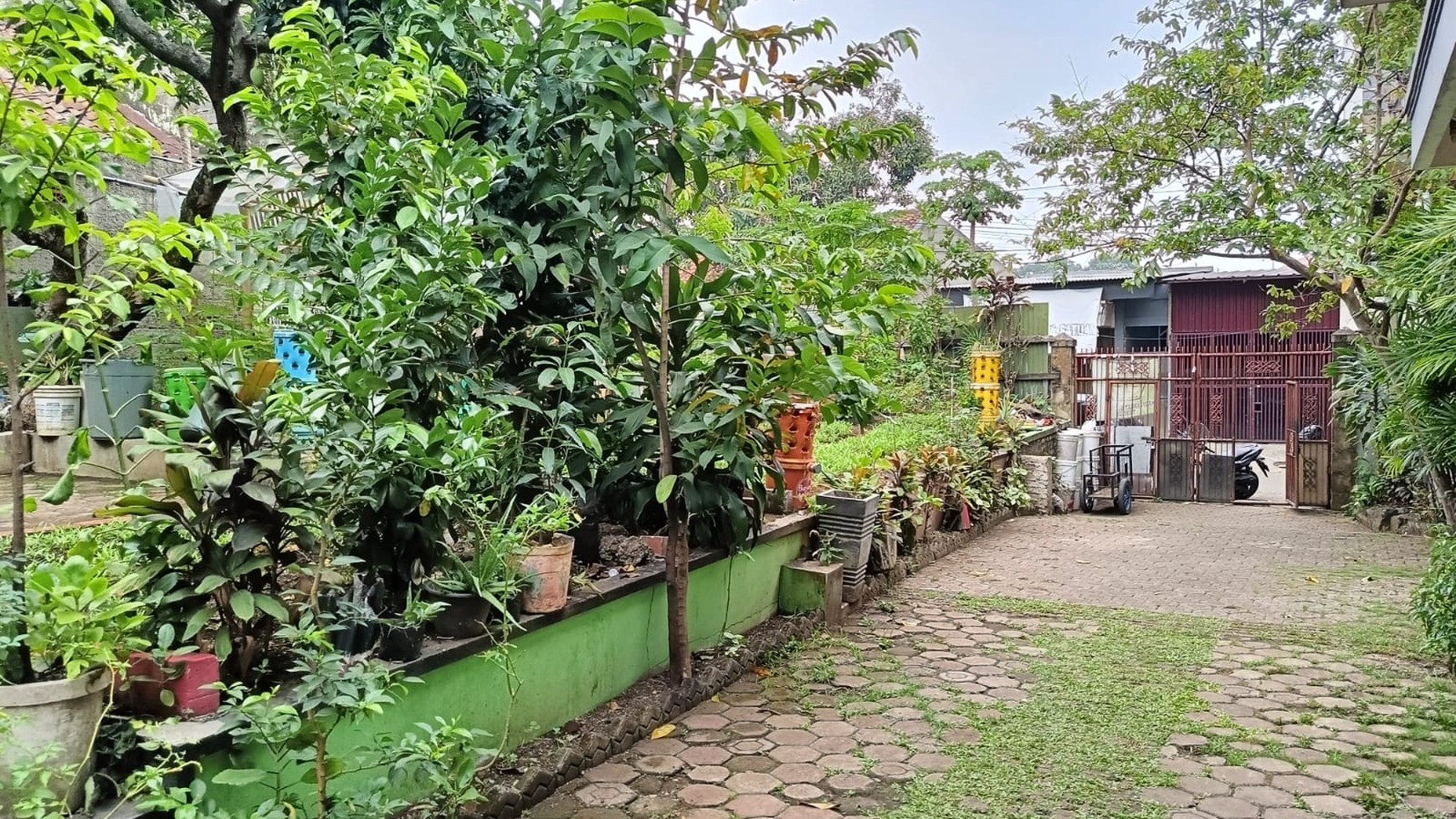 Rumah Asri di Cibogo