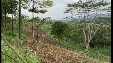 Tanah Luas di Sumur Putri, Teluk Betung, Kota Bandar Lampung