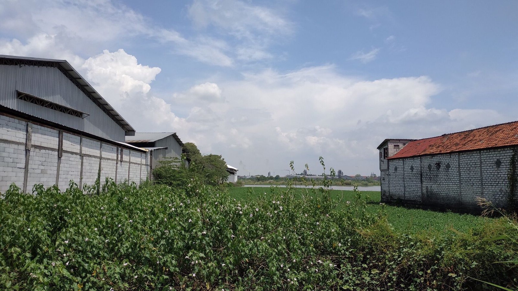 3,2 Ha Tanah Industri Jalan Raya Boboh - Menganti - Gresik Jawa Timur - Surat SHM