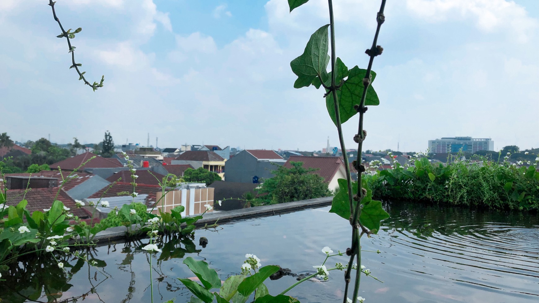 Rumah Bagus Dengan Nuasa Alam di Pisok Bintaro Jaya Sektor V #CH