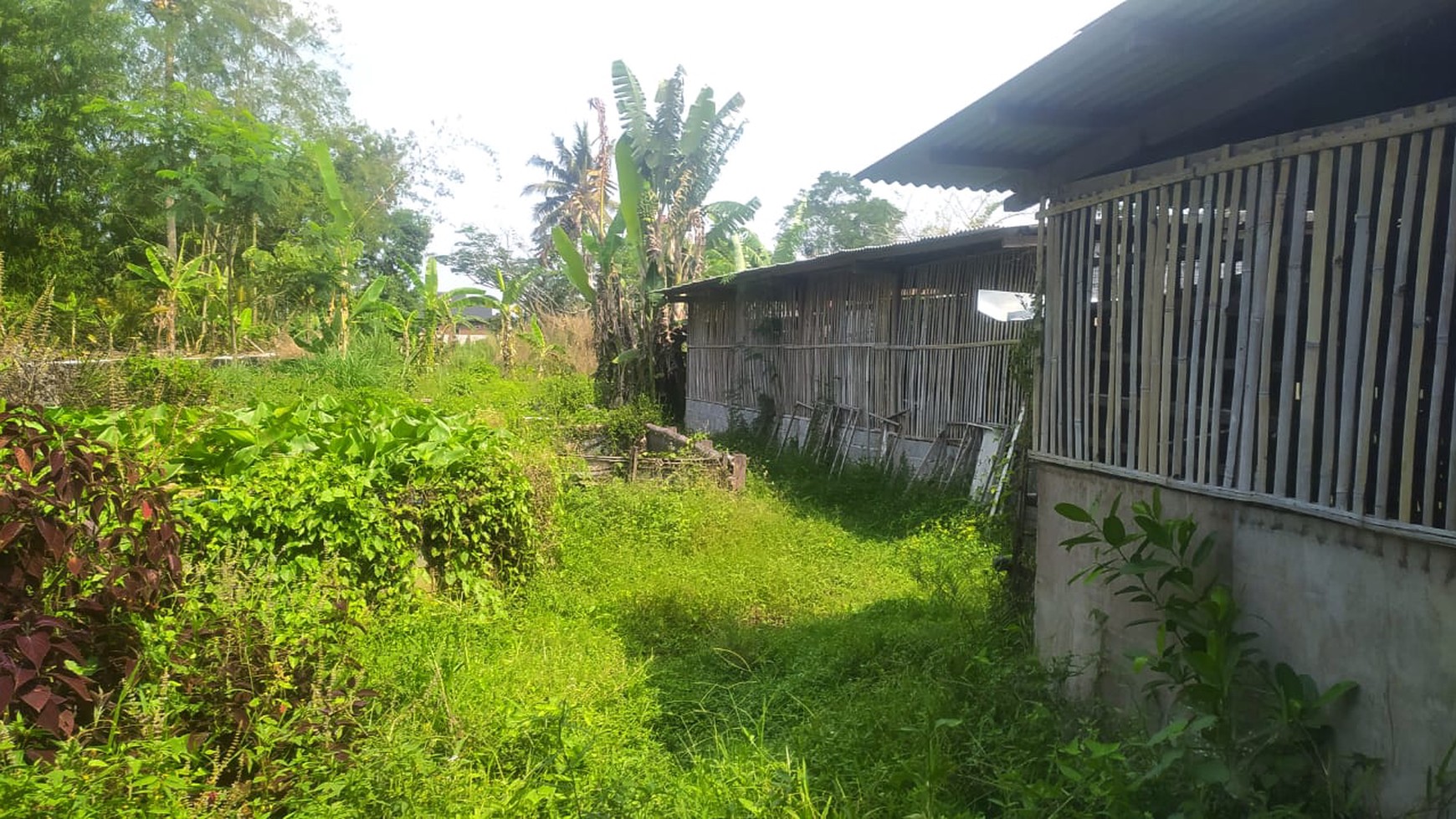 Disewakan Rumah Semi Furnish Dengan Desain Jawa View Gunung Merapi 