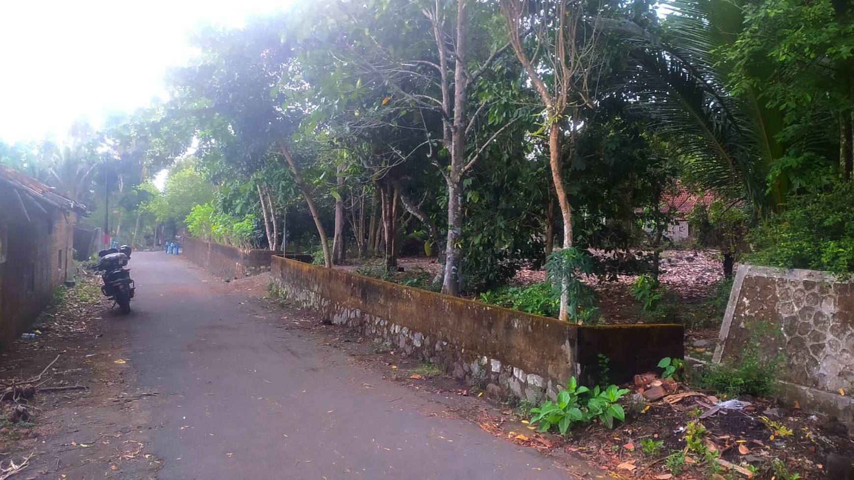 Tanah Pekarangan Luas 1387 Meter Persegi Lokasi Dekat Pasar Sleman