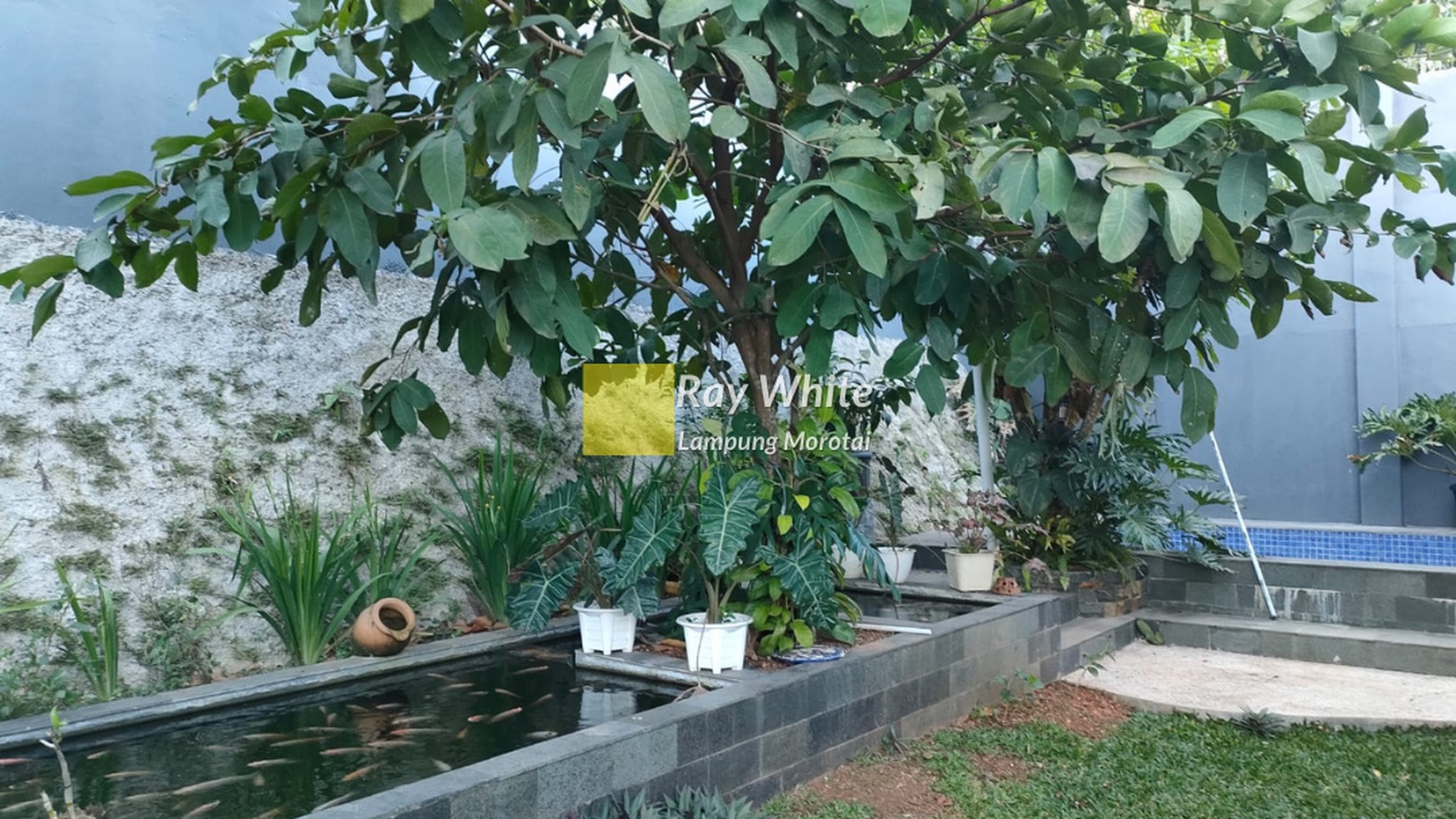 Dijual Rumah Hajimena Lampung Selatan