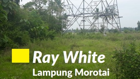 Dijual Tanah Jati Mulyo Lampung Selatan