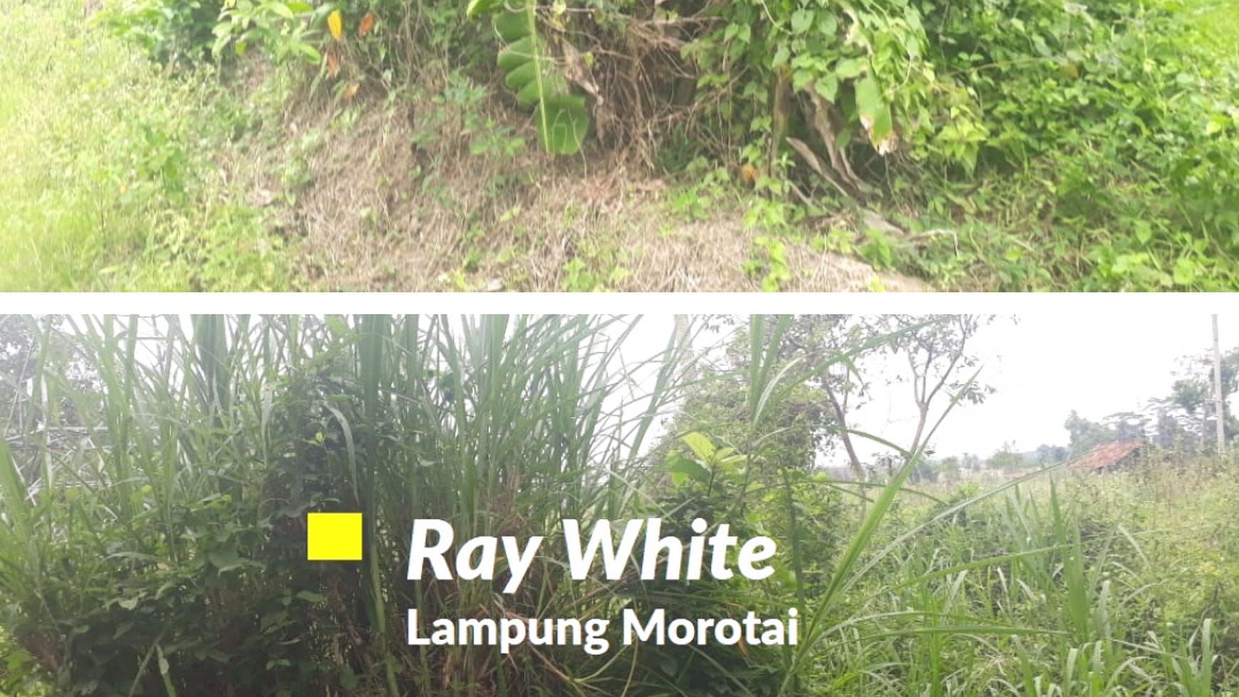 Dijual Tanah Jati Mulyo Lampung Selatan