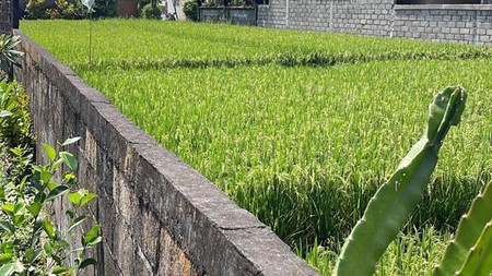For Leasehold Land in the great area Berawa, Canggu