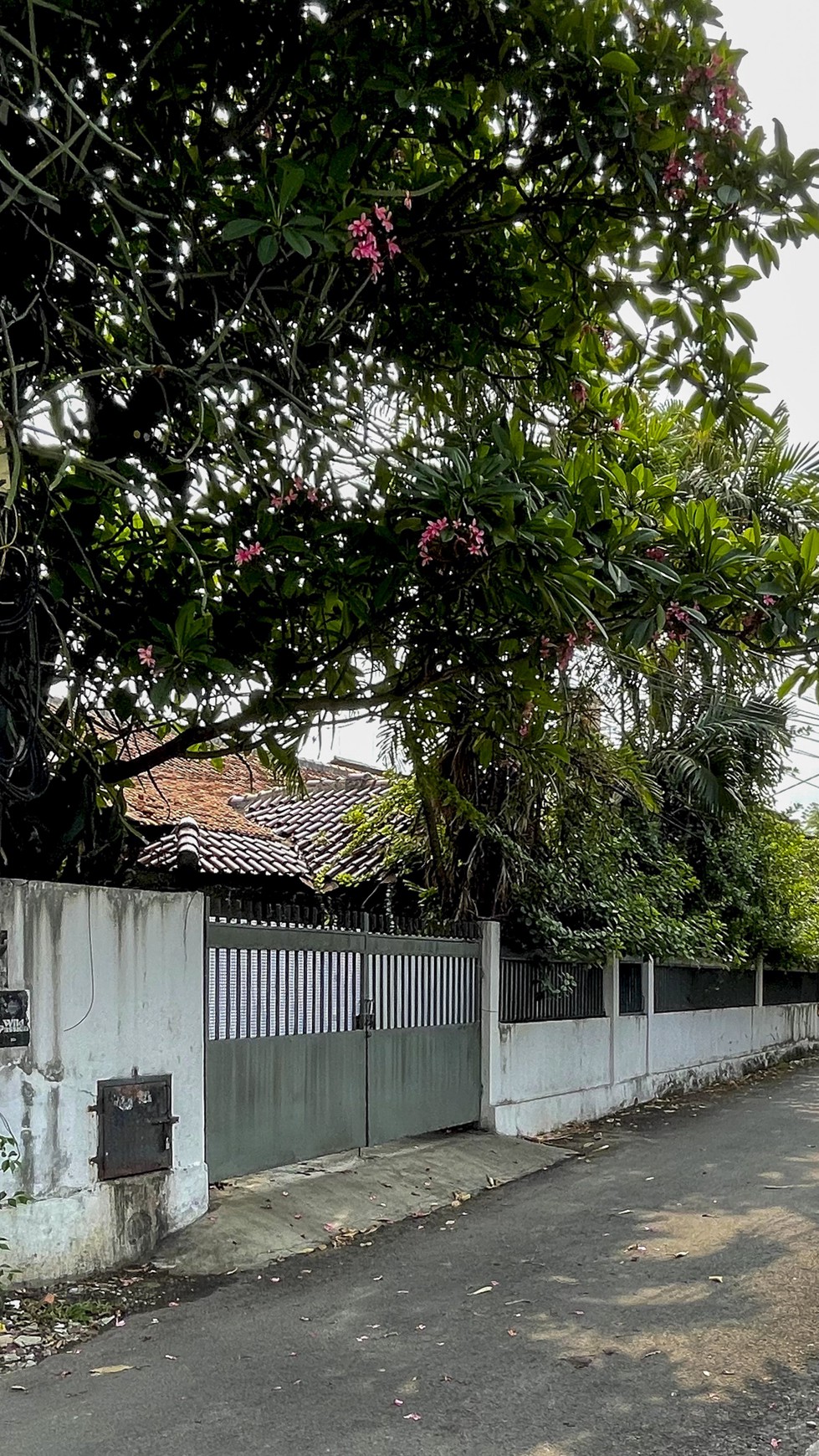 Rumah Murah Hitung Tanah Di Jl Kemang Jakarta Selatan