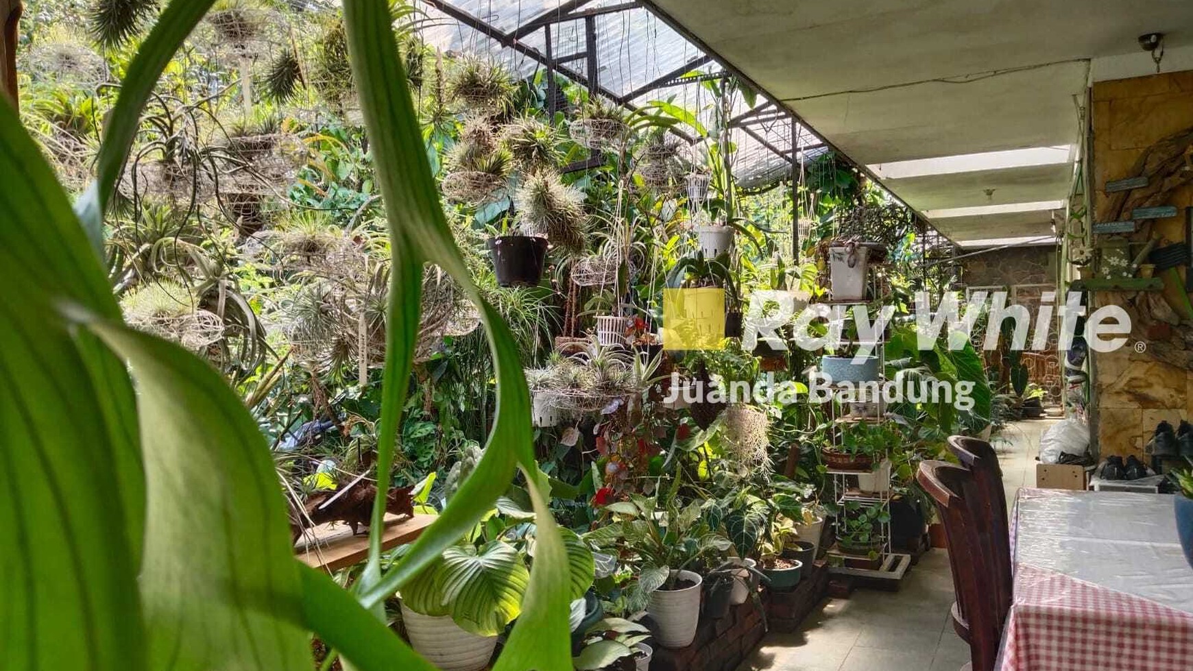 Langka,Murah Rumah terawat di sayap Pajajaran tengah kota bandung strategis dekat ke paskal pasteur !