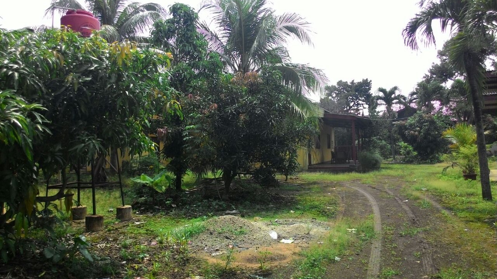 Kavling  Strategis Sudah Dipagar Akses Jl Raya Propinsi Diarea Parung - Bogor