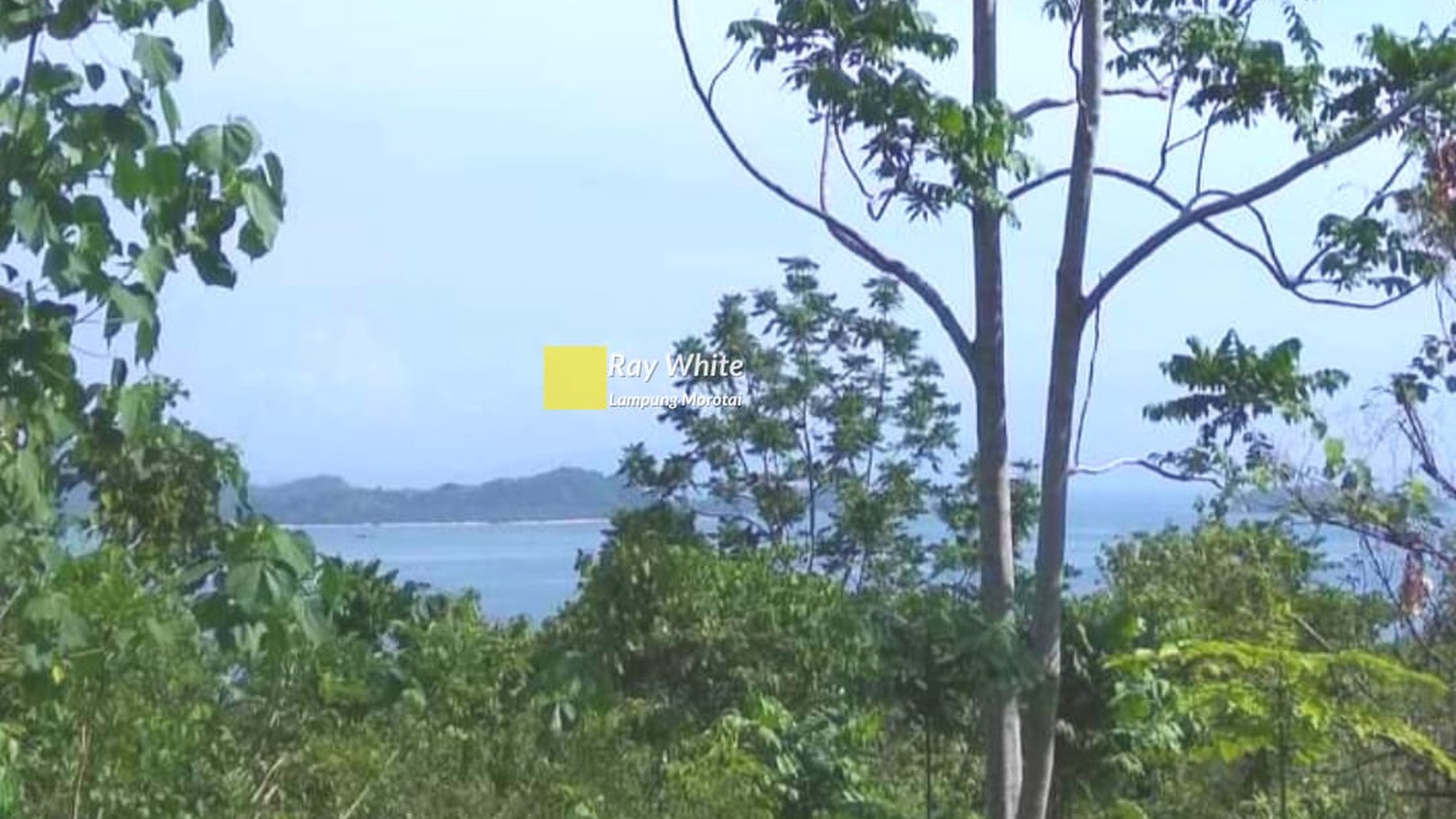 Dijual Cepat Tanah Dekat Pantai Punduh Pidada