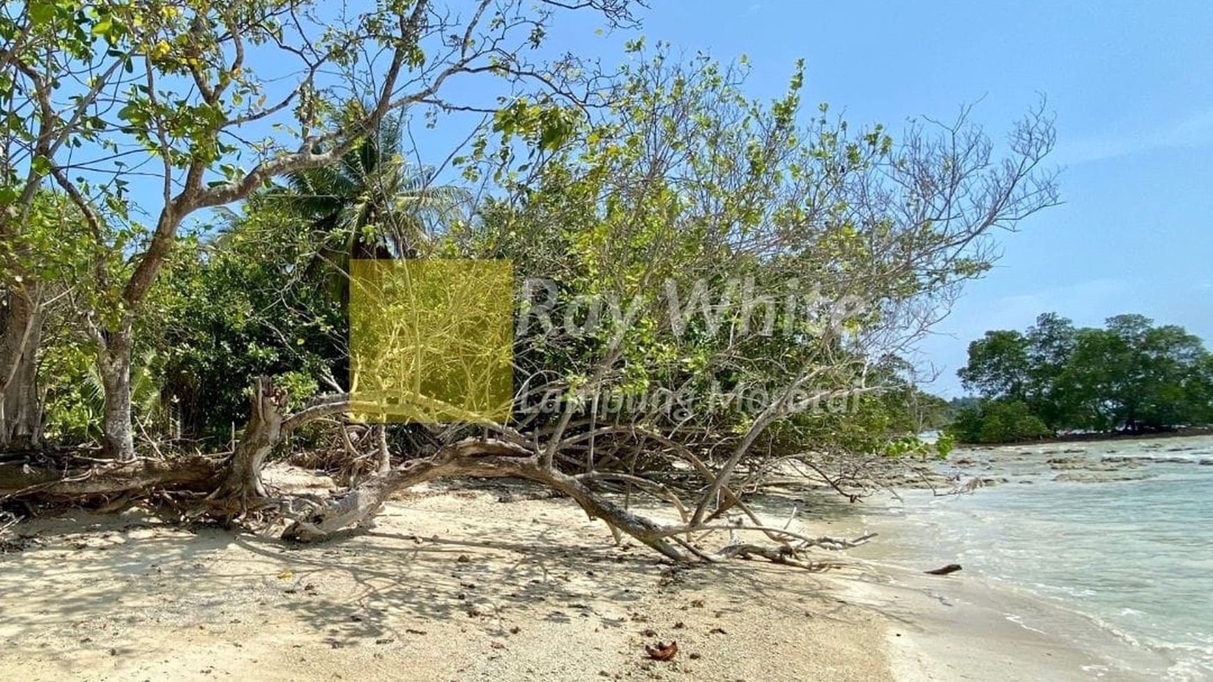 Dijual Tanah Pantai Berpasir Putih Di Pulau Pahawang