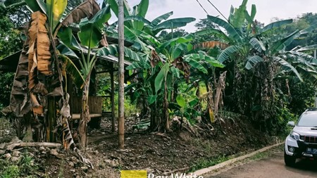 Dijual Tanah Perkebunan 