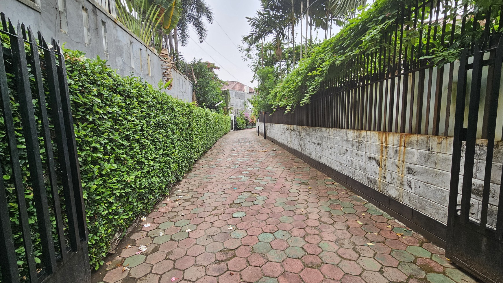 Rumah Siap Huni dan Asri dengan Taman Luas di Kemang Timur, Jakarta Selatan 