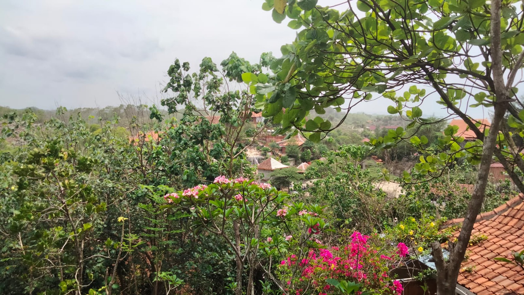 Tanah Eksklusif 2000 Meter Persegi Di Kawasan Pantai Mbhuluk Gunung Kidul