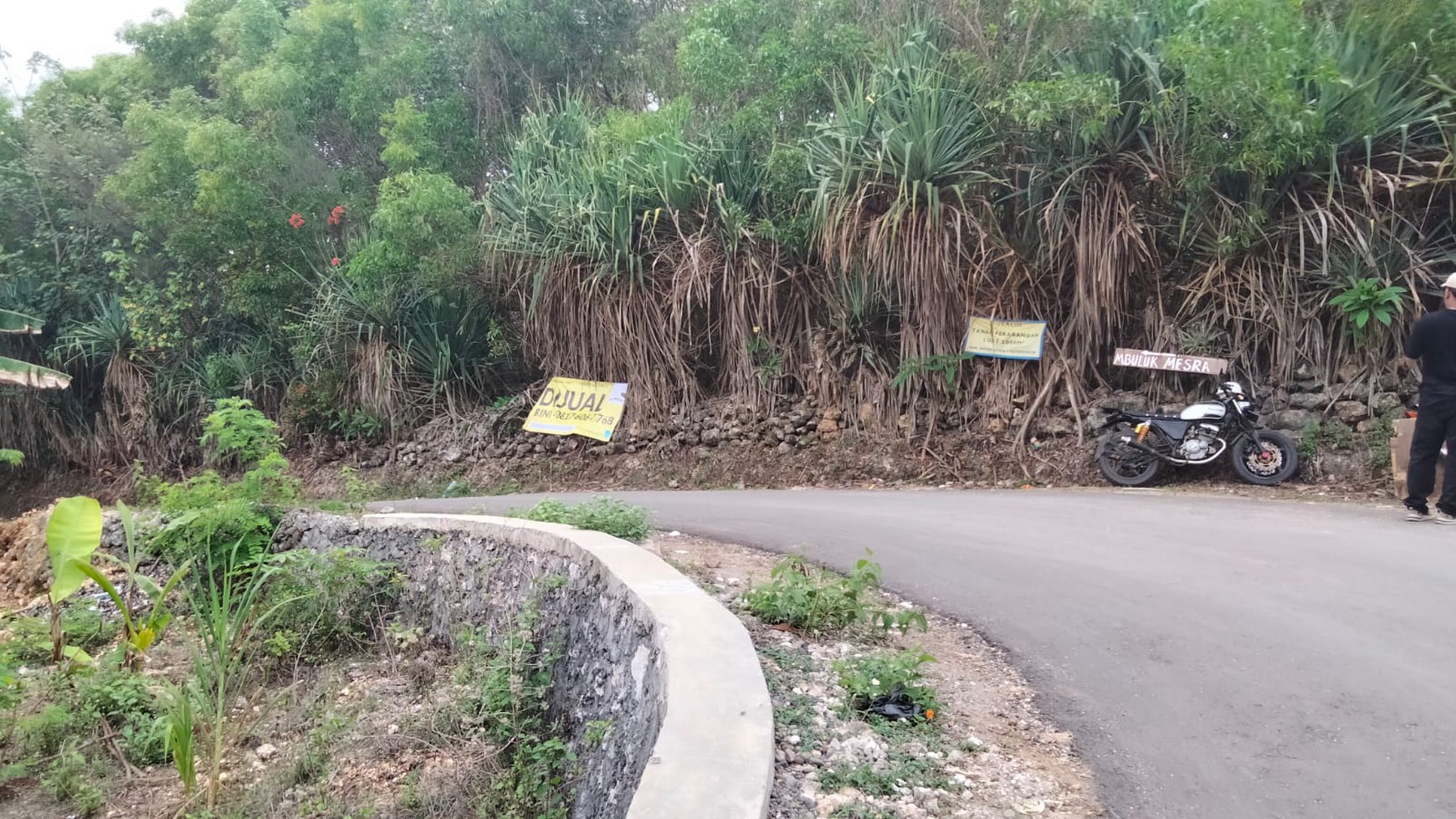 Tanah Eksklusif 2000 Meter Persegi Di Kawasan Pantai Mbhuluk Gunung Kidul