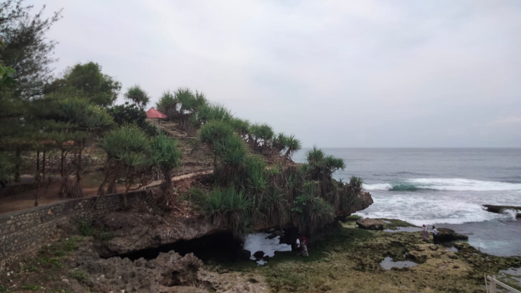 Tanah Eksklusif 2000 Meter Persegi Di Kawasan Pantai Mbhuluk Gunung Kidul