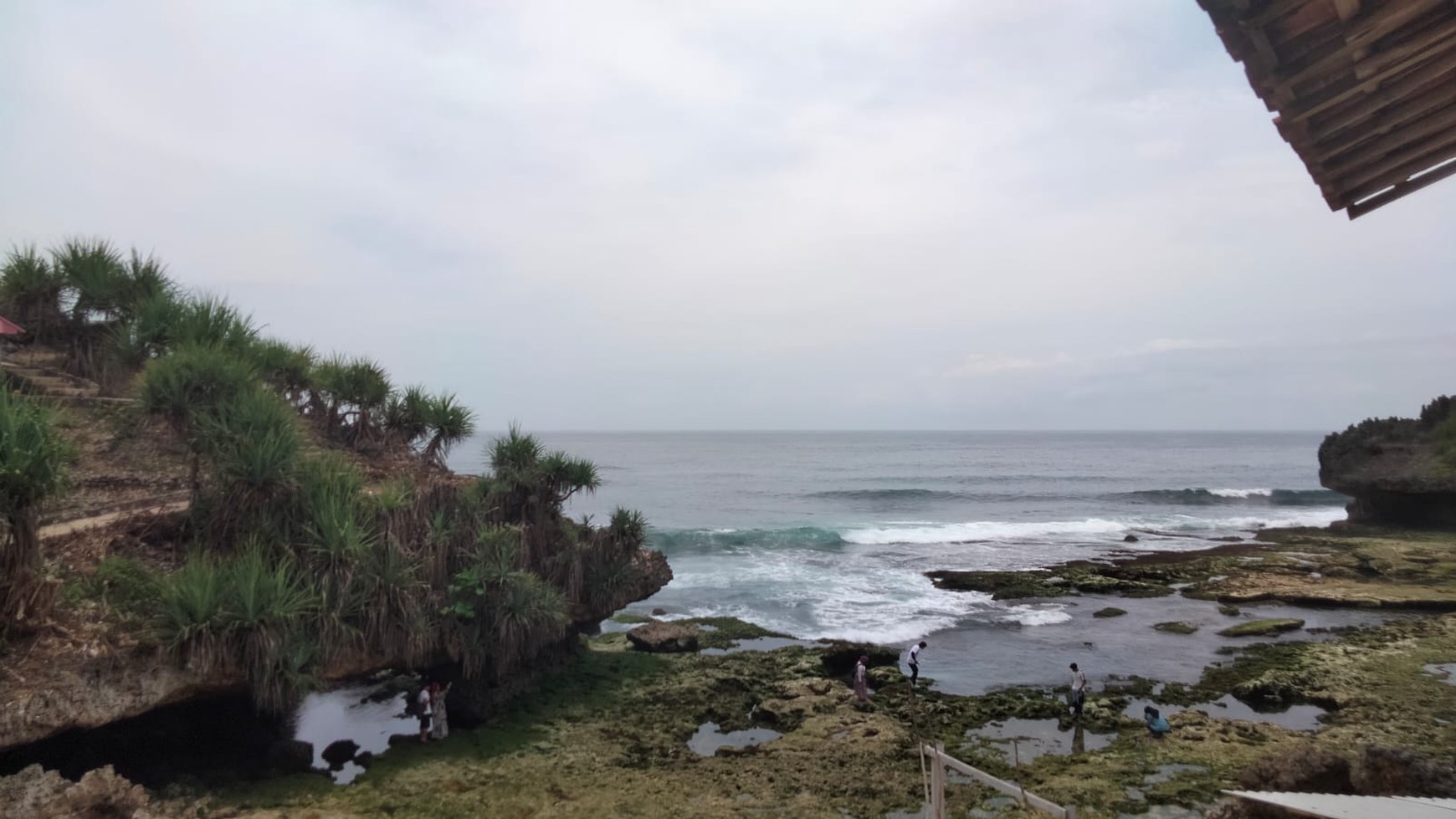 Tanah Eksklusif 2000 Meter Persegi Di Kawasan Pantai Mbhuluk Gunung Kidul