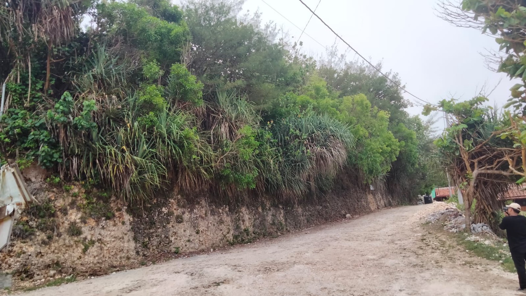 Tanah Eksklusif 2000 Meter Persegi Di Kawasan Pantai Mbhuluk Gunung Kidul