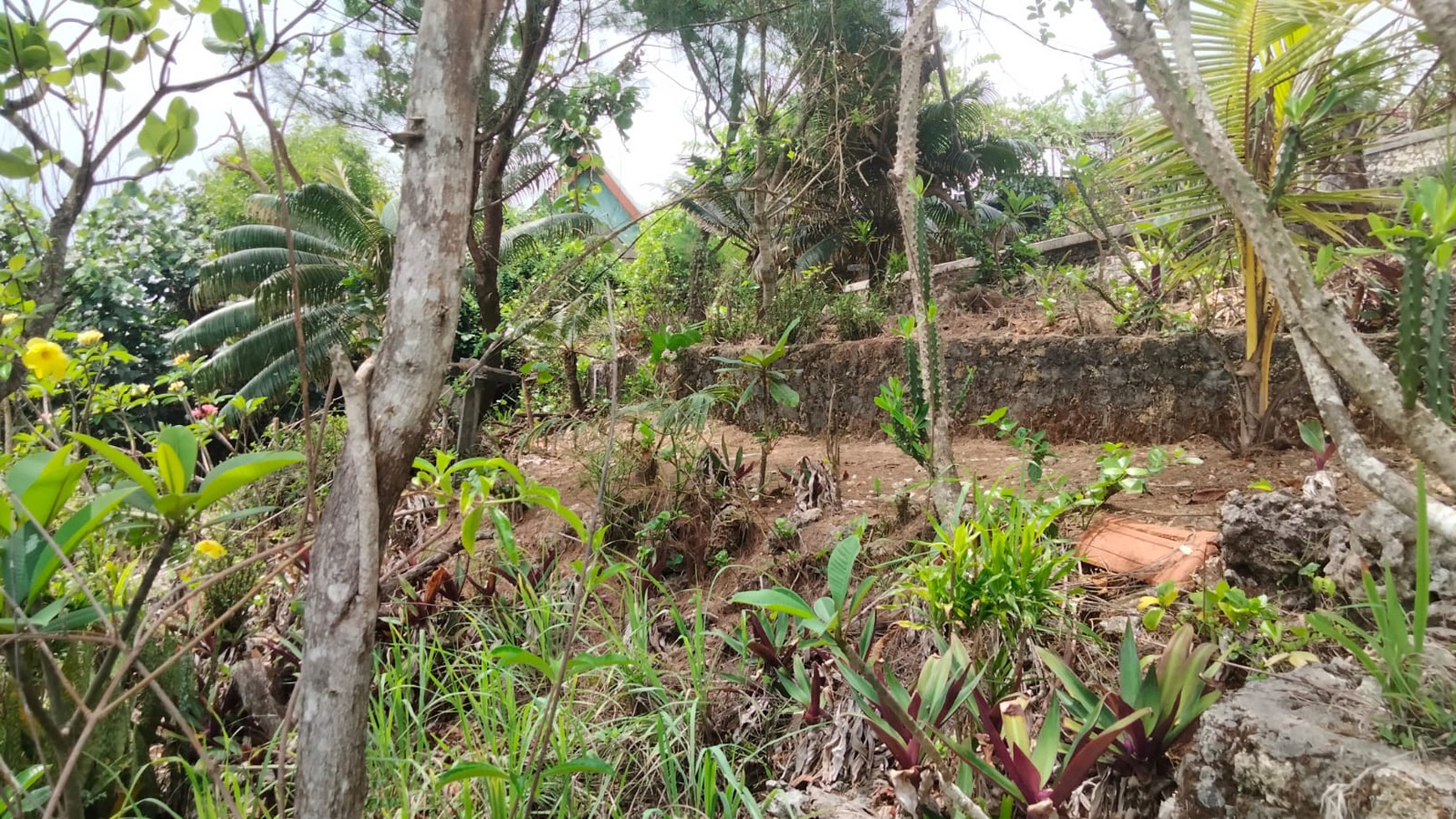 Tanah Eksklusif 2000 Meter Persegi Di Kawasan Pantai Mbhuluk Gunung Kidul