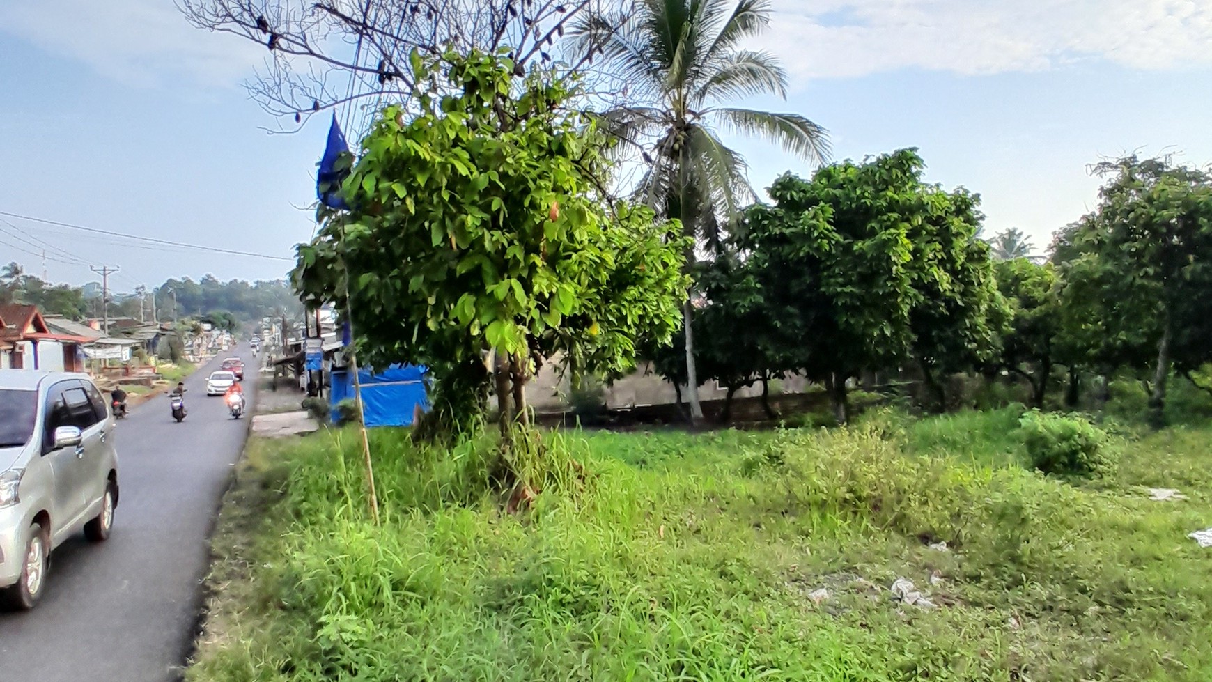 DI jual tanah Pinggir jalan Sidomulyo