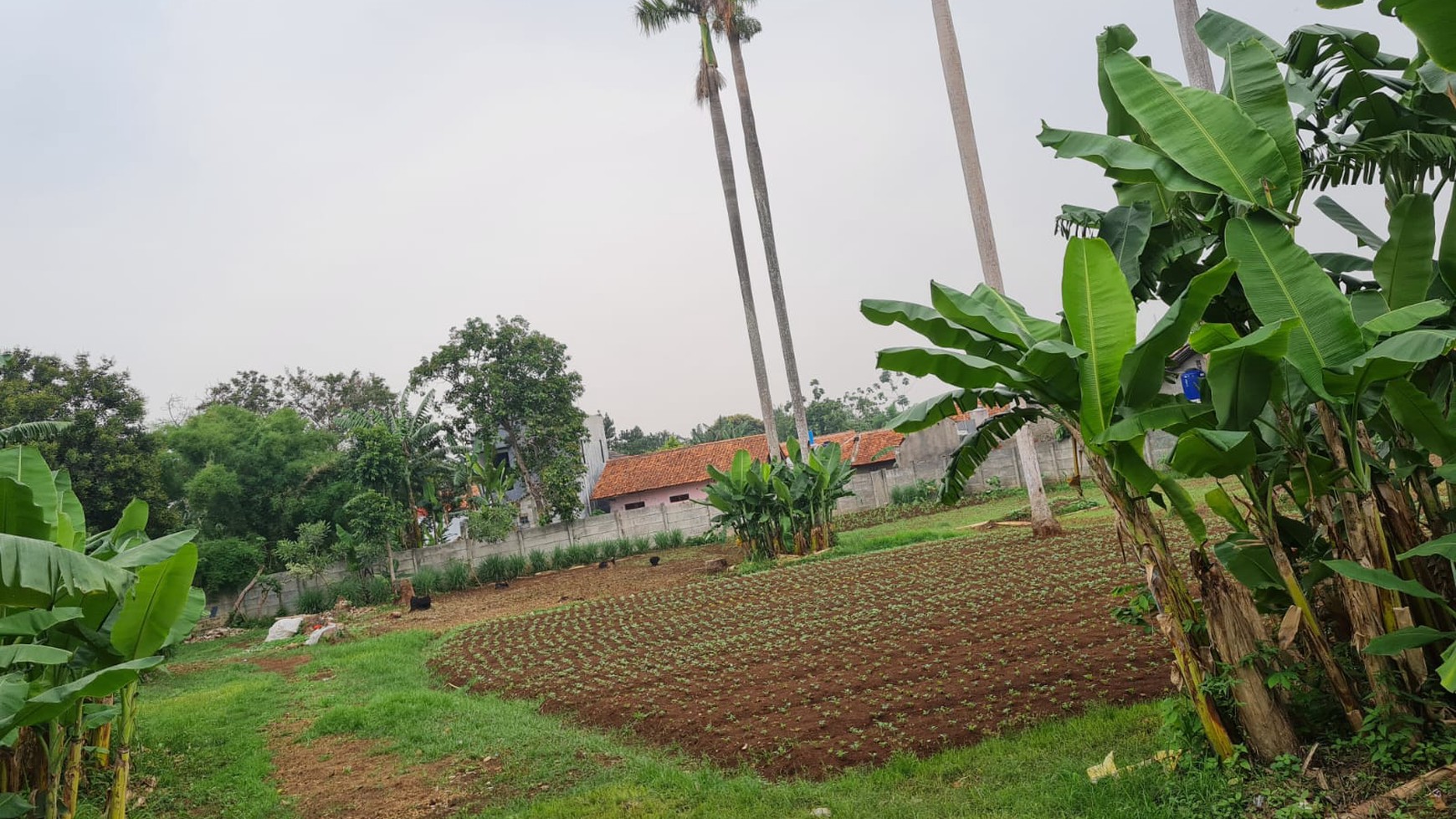 Di Jual tanah cantik cocok buat cluster di Parigi Bintaro