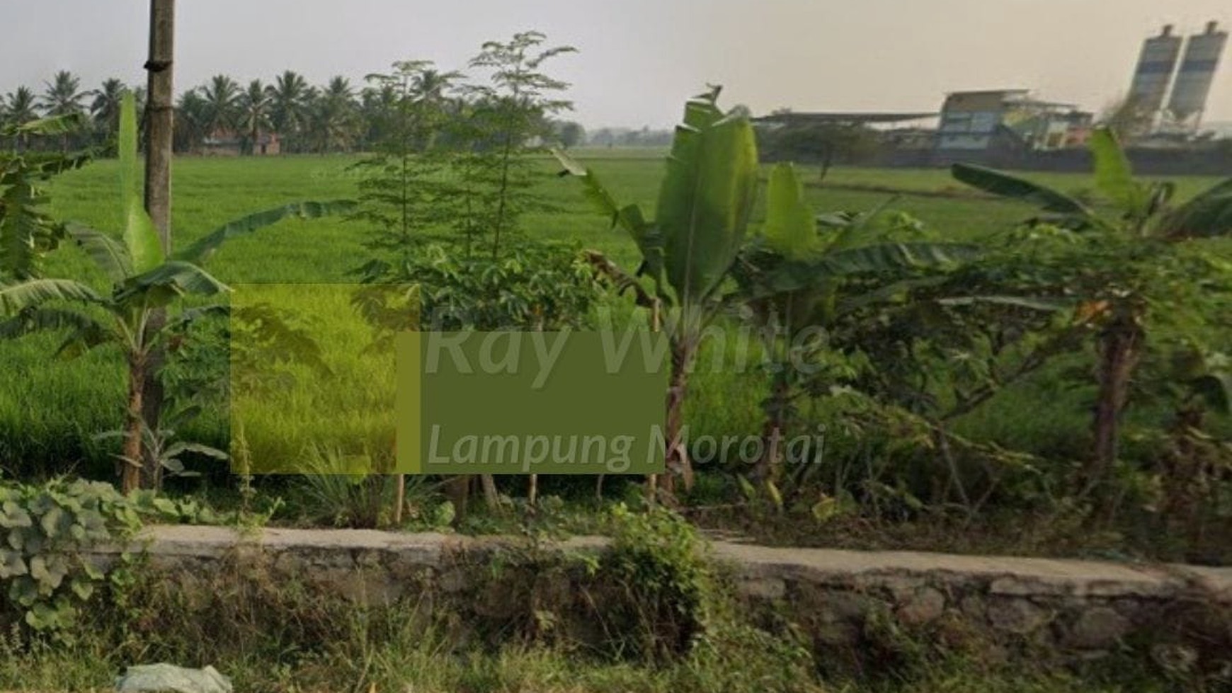 Dijual Tanah Sawah Irigasi Produktif ch