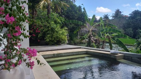 Contemporary 3 Bedroom Leasehold Villa - South of Ubud - Rice Field Views  