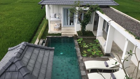 Contemporary Tropical 2 Bedroom Villa with Rice Field Views - 10 Minutes North of Ubud  