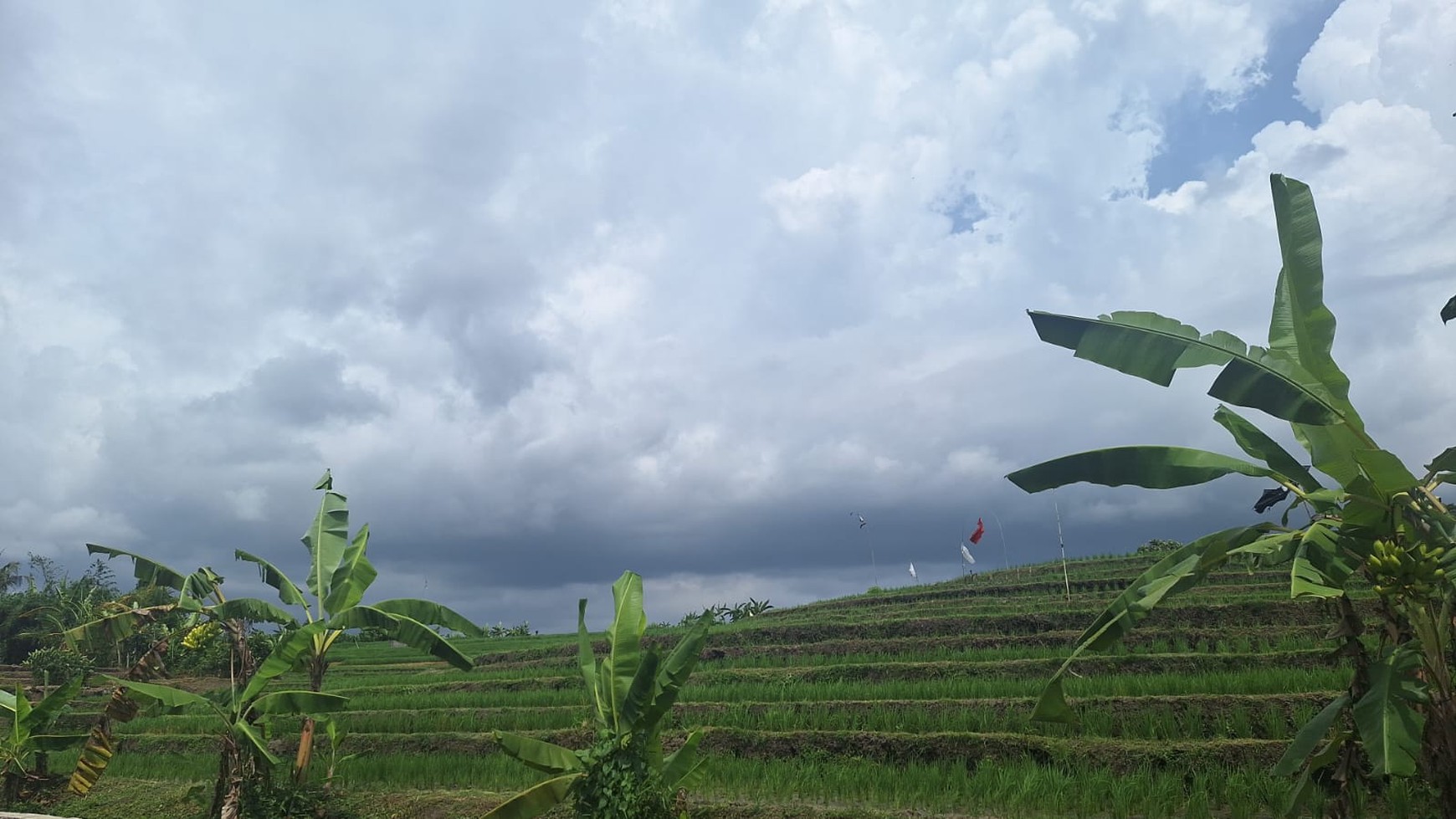 For Sale Freehold and  Leasehold  - Land area Tumbak Bayuh