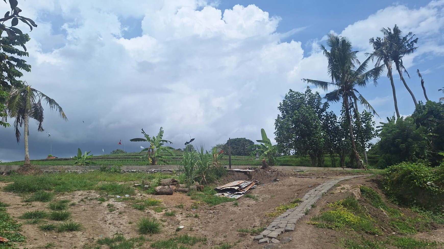 For Sale Freehold and  Leasehold  - Land area Tumbak Bayuh