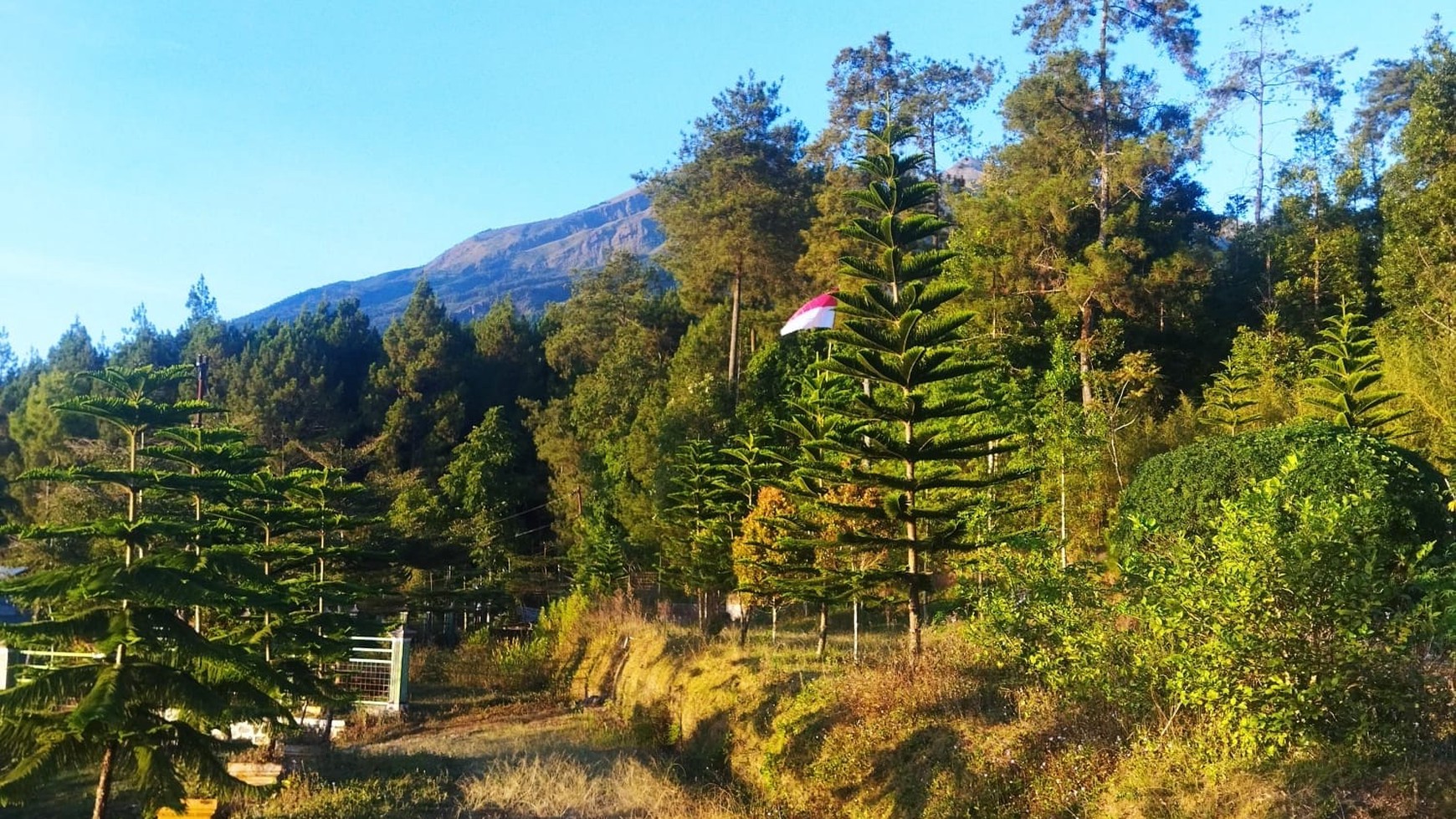 Tanah SHM Cocok untuk Wisata dan Investasi di Getasan Kopeng Salatiga kabupaten Semarang