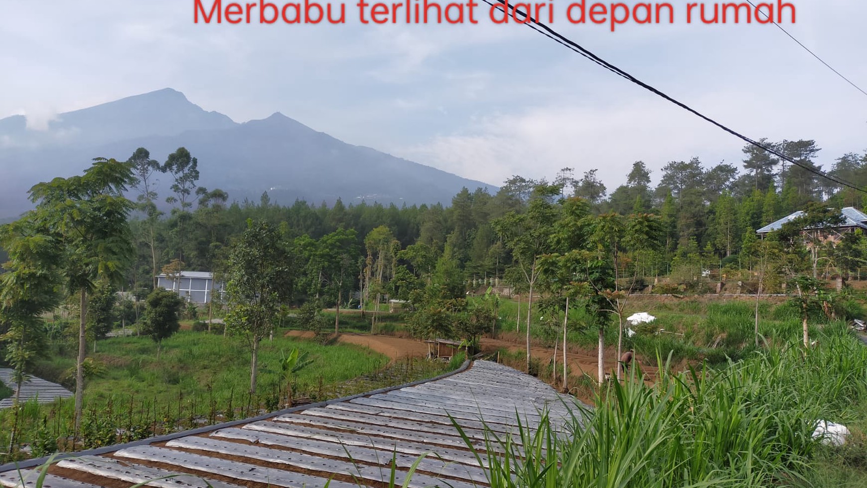 Tanah SHM Cocok untuk Wisata dan Investasi di Getasan Kopeng Salatiga kabupaten Semarang