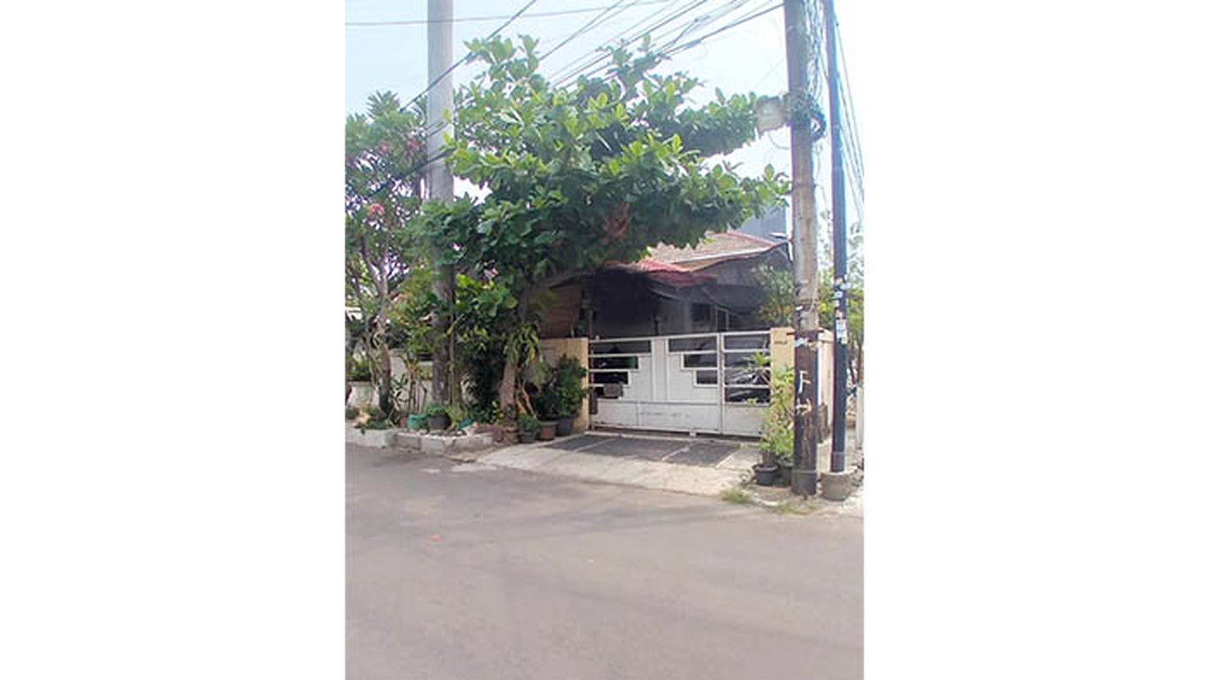 Rumah Sunter Mas Tengah, Sunter Luas 260m2