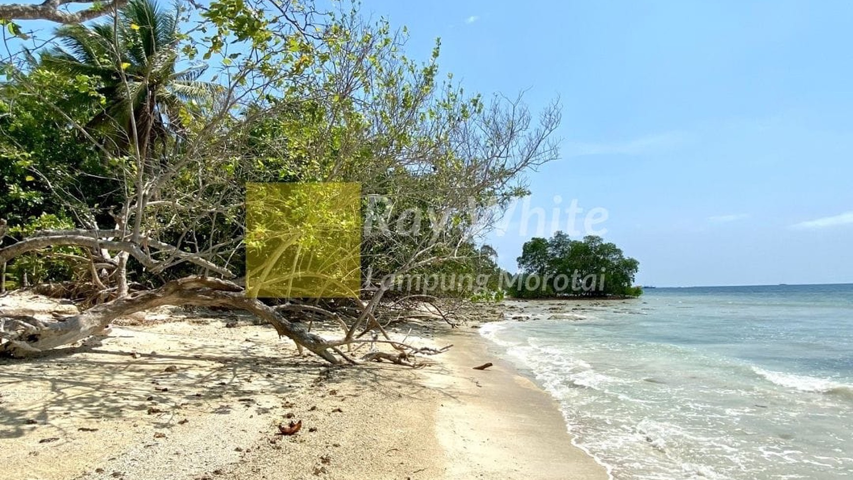 Dijual Tanah Pinggir Pantai di Pulau Pahawang harga terjangkau