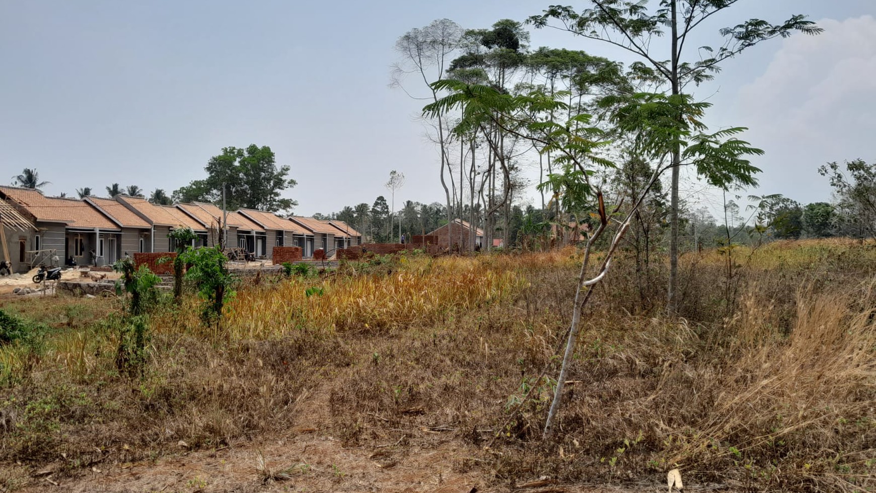 Tanah Pesawaran  Dijual  Cepat